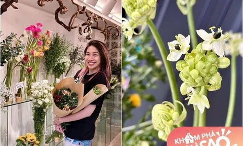 Nữ ca sĩ ở nhà 6 tỷ cắm loài hoa có tên cực cao sang, thú nhận toàn chơi "bộ môn tốn tiền"