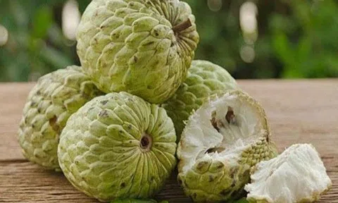 Ăn na ai cũng sợ có giòi nhưng chuyên gia chỉ ra một điều đáng sợ hơn, người lớn hay trẻ nhỏ đều phải cẩn trọng