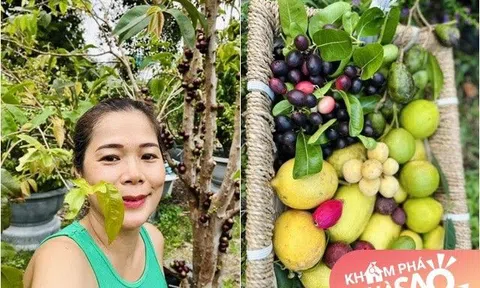 Vườn nghìn m2 của nữ đại gia showbiz Việt trái rụng đầy gốc, bị chim chuột gặm nham nhở sau 1 tháng vắng chủ