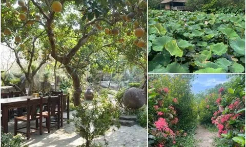 Người phụ nữ Hà Nội dành 10 năm làm vườn rộng 50.000m2 với hơn 2000 loài thực vật đẹp hệt cánh rừng thu nhỏ