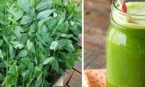 Rau ngót là kho vitamin C, mang nhiều lợi ích đáng kinh ngạc nhưng có tác dụng phụ đáng sợ ai cũng nên biết