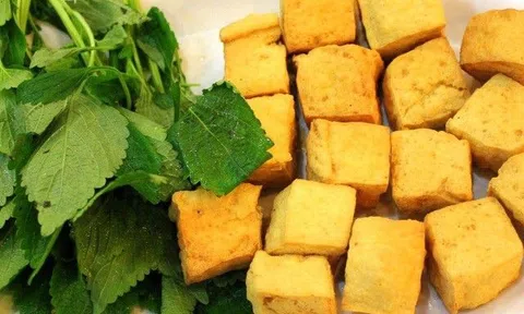 Ăn đậu phụ hàng ngày có làm phụ nữ dễ mắc ung thư vú, nam giới yếu sinh lý?