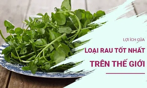 Điều gì xảy ra với cơ thể khi bạn ăn loại rau được đánh giá tốt cho sức khỏe nhất trên thế giới