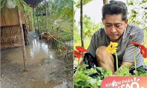 Nhìn cảnh chòi lá của tài tử Huỳnh Anh Tuấn ngập nước, dân mạng lại "ước gì có vài chục tỷ để về vườn như anh"