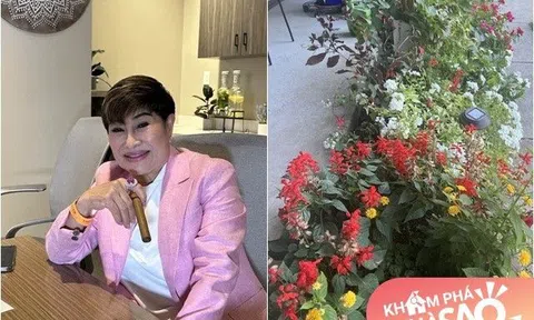 Khu vườn nhà muôn sắc hoa của vợ cũ Đàm Vĩnh Hưng làm mọi người thốt lên: "Một cõi bình yên"