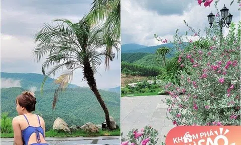 Vợ Mạnh Trường khoe hoa cỏ ngập lối đi nơi biệt thự trên núi, có cây tên lạ "nghe như phim chưởng"