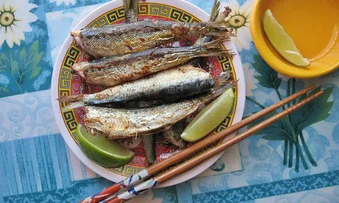 3 loại cá giàu omega-3 hơn cá hồi, có món người Việt coi là món nhà nghèo, người Nhật lại ăn hàng ngày