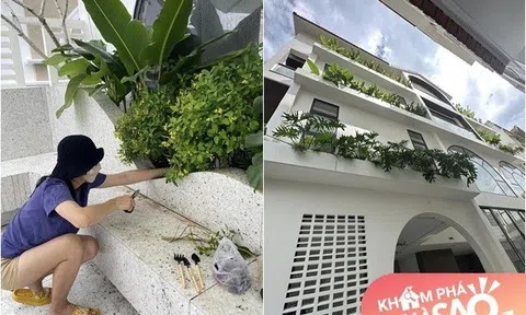 Vân Trang làm nông dân trong cơ ngơi rộng 1.000 m2, chở hơn 2 tấn đất từ quê lên Sài Gòn trồng cây