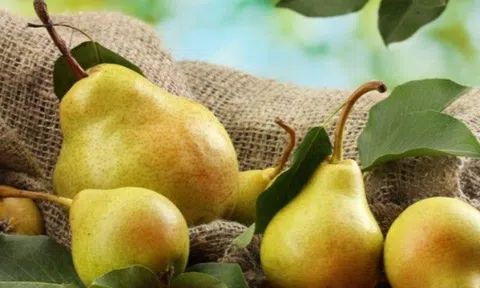 Ba loại trái cây mùa thu này ngọt nhưng hàm lượng đường lại thấp, ăn vừa ngon vừa bổ dưỡng toàn thân