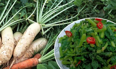 Bộ phận của củ cải còn quý hơn "nhân sâm trắng", giàu canxi gấp 3 lần sữa nhưng ai cũng đem vứt đi