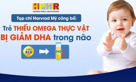 Mẹ đã biết: Trẻ cần bổ sung Omega thực vật để không làm giảm nồng độ DHA trong não