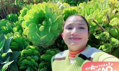 MC Cát Tường khoe nhà cô ruột ở Mỹ có vườn sen đá khổng lồ bông to hơn mặt người