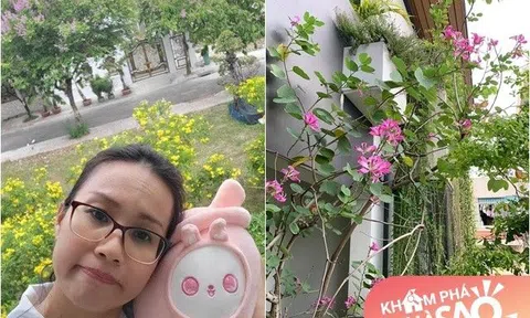 Đọ view phòng ngủ sao Việt: Lê Hoàng nhìn xuống khu vườn ngập hoa, phòng Cẩm Ly, Lã Thanh Huyền đẹp không kém