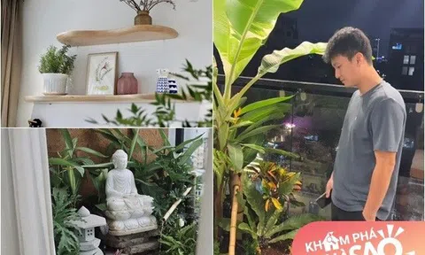Bạch Lan Phương khoe không gian thơ mộng trên tầng 9 biệt thự, được Huỳnh Anh chăm sóc từng lá cây ngọn cỏ