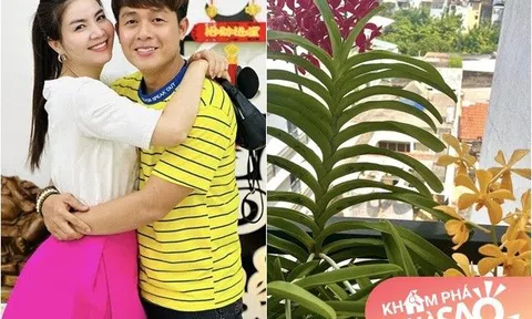 Diễn viên Cổng mặt trời khoe sân thượng muôn hoa đua nở, 41 tuổi sống độc thân sung túc