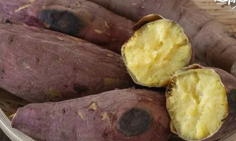 Tại sao ăn khoai lang có đốm đen, người thì bị ngộ độc, người lại được chuyên gia khen ăn được "thuốc bổ"?