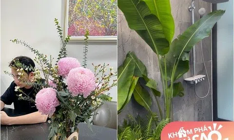 Vợ Phan Mạnh Quỳnh khoe nhà vừa hoàn thành, ai cũng khen có gu: Độc lạ nhất là phòng tắm