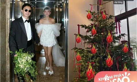 Nữ người mẫu mới lấy chồng thiếu gia, trang trí Noel nhưng bị dân mạng chê: Treo cả quả thanh long lên cây thông?