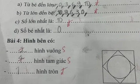 Con làm toán 6 + 3= 9 bị cô giáo gạch sai, mẹ đi kiện thì xấu hổ vì con