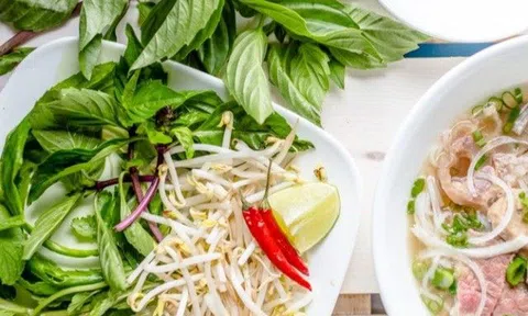 Húng quế có tác dụng gì mà được chuyên gia gọi là “thần dược”? Cách làm nước lá húng quế vừa ngon vừa bổ