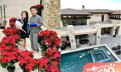 Vợ cũ Đan Trường cắm hàng loạt hoa đỏ rực rỡ trang trí biệt thự 1.500m2 ở khu nhà giàu