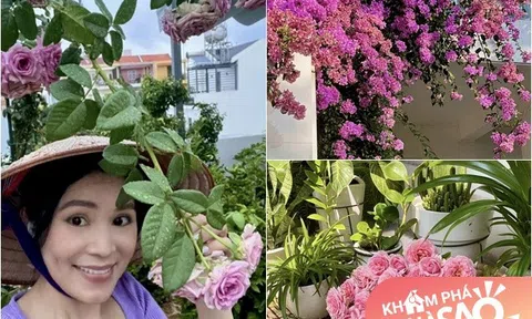 Vợ giàu của Quyền Linh khoe làm "nông dân", trồng cả vườn hoa rực rỡ rợp trời khiến người người hỏi xin bí kíp