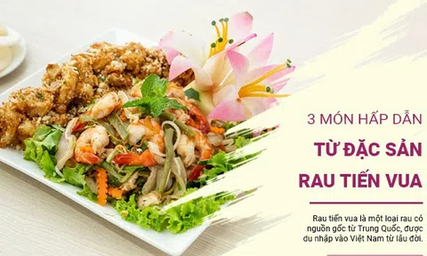 Thử ngay những món ngon từ rau tiến vua, giòn sần sật, thanh mát ăn đã miệng