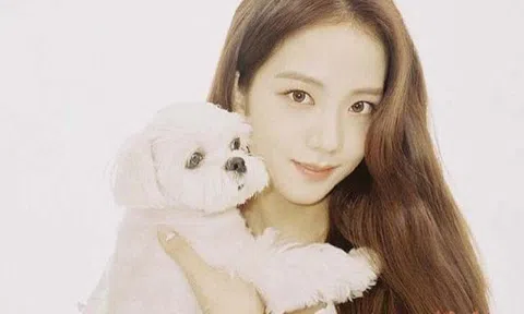 Thú cưng của Jisoo (BLACKPINK) đẳng cấp cỡ nào?