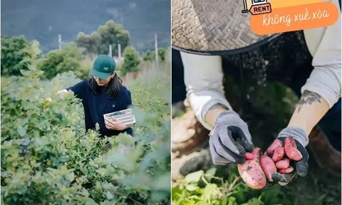 Nhà thiết kế bán nhà về quê, thuê 6.000m2 đất làm trang trại: "Đây là quyết định đúng đắn nhất đời tôi"