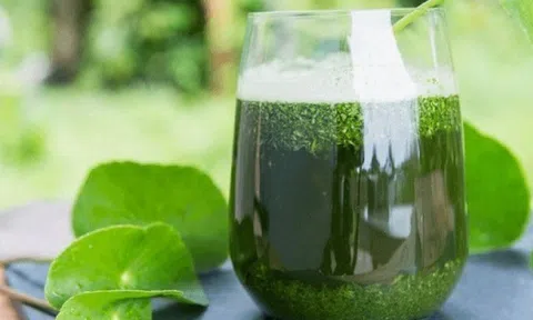 Uống nước rau má có tác dụng gì mà y học xưa ca ngợi nó là “thảo dược trường thọ”