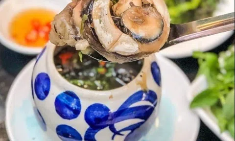Ăn mắt cá có bổ mắt? Cá biển và cá nước ngọt loại nào ăn bổ hơn?