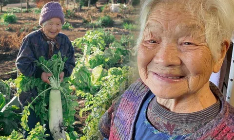 Cụ bà 95 tuổi vẫn tự trồng rau và nấu ăn, khuyên làm 5 việc để trường thọ, điều cuối giúp não bộ trẻ lại