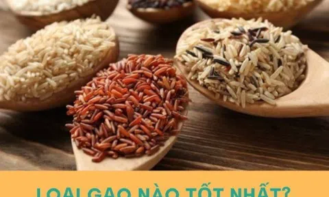 5 loại gạo tốt nhất cho sức khỏe và một loại nên cắt giảm lại được người Việt ăn nhiều