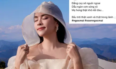 Osen Ngọc Mai đăng trạng thái "đắng cay sẽ nguôi ngoai" sau khi người nhận là "chồng cũ" bị xử phạt