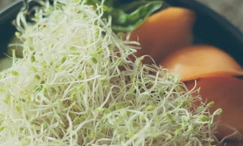 Top 10 thực phẩm bảo vệ thận, ăn để chống viêm và hạ lipid máu hiệu quả