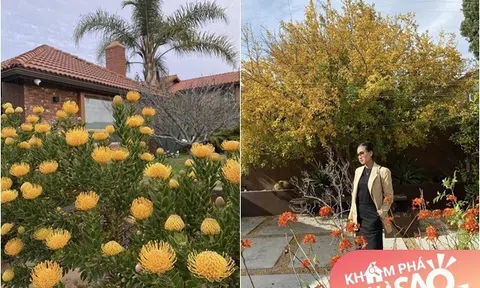 Nhà của Hoa hậu Dương Mỹ Linh ở Mỹ: Vườn đẹp như quán cà phê, trước cửa có loài hoa rực rỡ