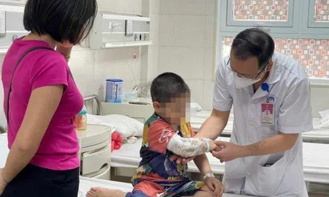Bé trai 3 tuổi ở Vĩnh Phúc bị hai con chó tấn công khi đang chơi đùa khiến thận vỡ làm đôi