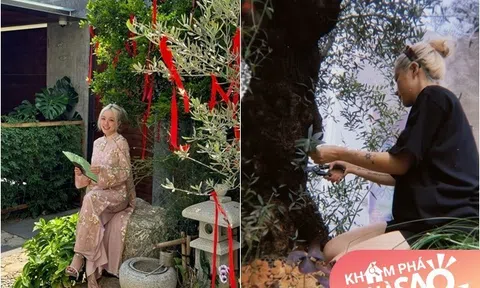 "Vợ quốc dân" Phương Ly sống trong cơ ngơi xinh: Khu vườn ngập tràn hoa lá, có "cụ" cây gần 200 tuổi