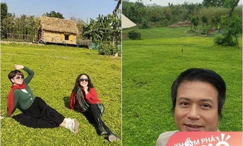 Nữ diễn viên miền Bắc có cơ ngơi xanh ngát, nhiều người nổi tiếng đến đều trầm trồ