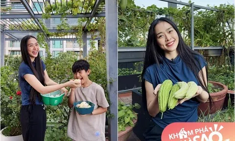 Mẹ con Diệp Bảo Ngọc thu hoạch rau trái "hoành tráng" trên khu vườn trên cao, ai cũng khen đã con mắt