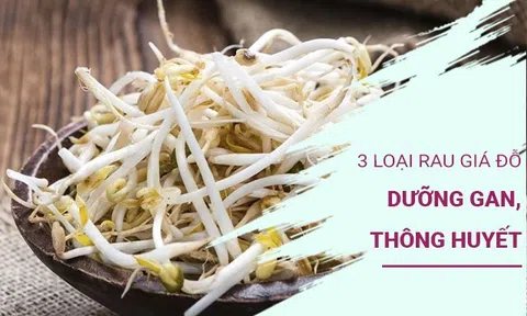 3 loại rau giá đỗ rẻ như cho, ăn vào dưỡng gan, thông huyết