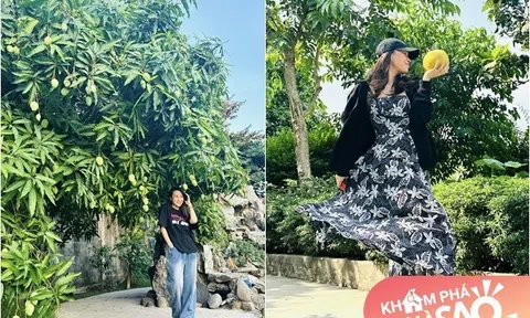 Mỹ Tâm "flex" cây xoài 500-700 trái, để lộ không gian đẹp bên hồ trong nhà vườn