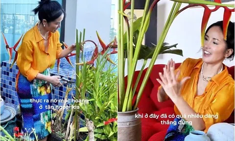 Diva Hồng Nhung cắt hoa vào cắm trong penthouse khu nhà giàu, dân mạng bình luận "Nhìn điêu quá"