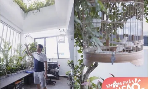 Nghệ sĩ Chí Trung lần đầu khoe gia trang xanh mát thoáng đẹp, đủ chim gà cá chó nhưng kêu "khổ"