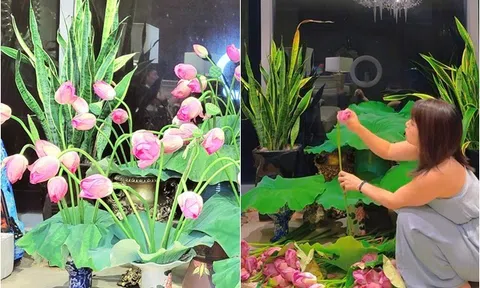 Vợ Mạnh Trường cắm hoa sen như một khu vườn trong nhà, Đan Lê thốt lên: "Đầu tư"