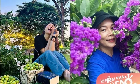 Khu vườn đầu hè của sao Việt: Mỹ Tâm - Mỹ Lệ khoái chí khoe táo xoài đầy vườn, hái vào đầy giỏ
