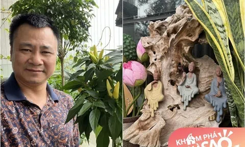 Ban công xanh nhà NSND Tự Long được cả 2 vợ chồng thích thú, bà xã Đại úy còn khoe: "View thật tuyệt"