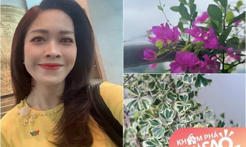 Khu vườn đầy lộc non mơn mởn của nữ MC VTV làm Diễm Quỳnh cũng thấy yêu