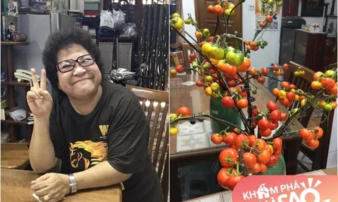 Danh hài Minh Vượng cắm loại cành quả độc đáo trong ngôi nhà đơn sơ, ai cũng khen: "Đẹp và lạ quá"