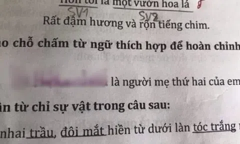 Bài tập điền vào chỗ trống: “... là người mẹ thứ hai của em”, học sinh có câu trả lời khiến bố mẹ điếng người